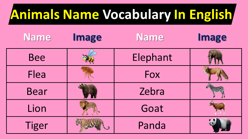 Animals Name Vocabulary In English with pictures