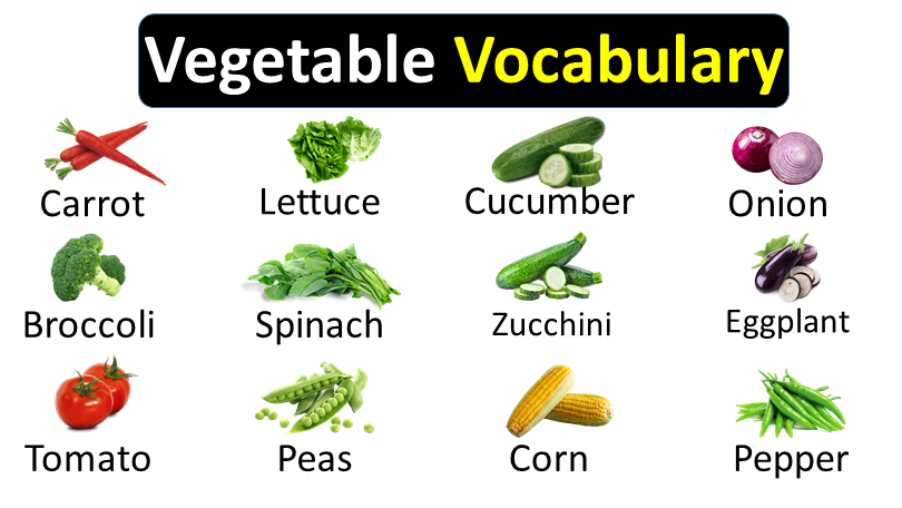 Common Vegetable Names Vocabulary with pictures and simple Explanation