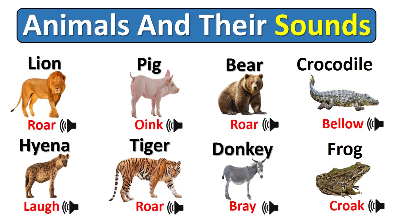 100+ Animals And Their Sounds Chart In English With Pictures ...