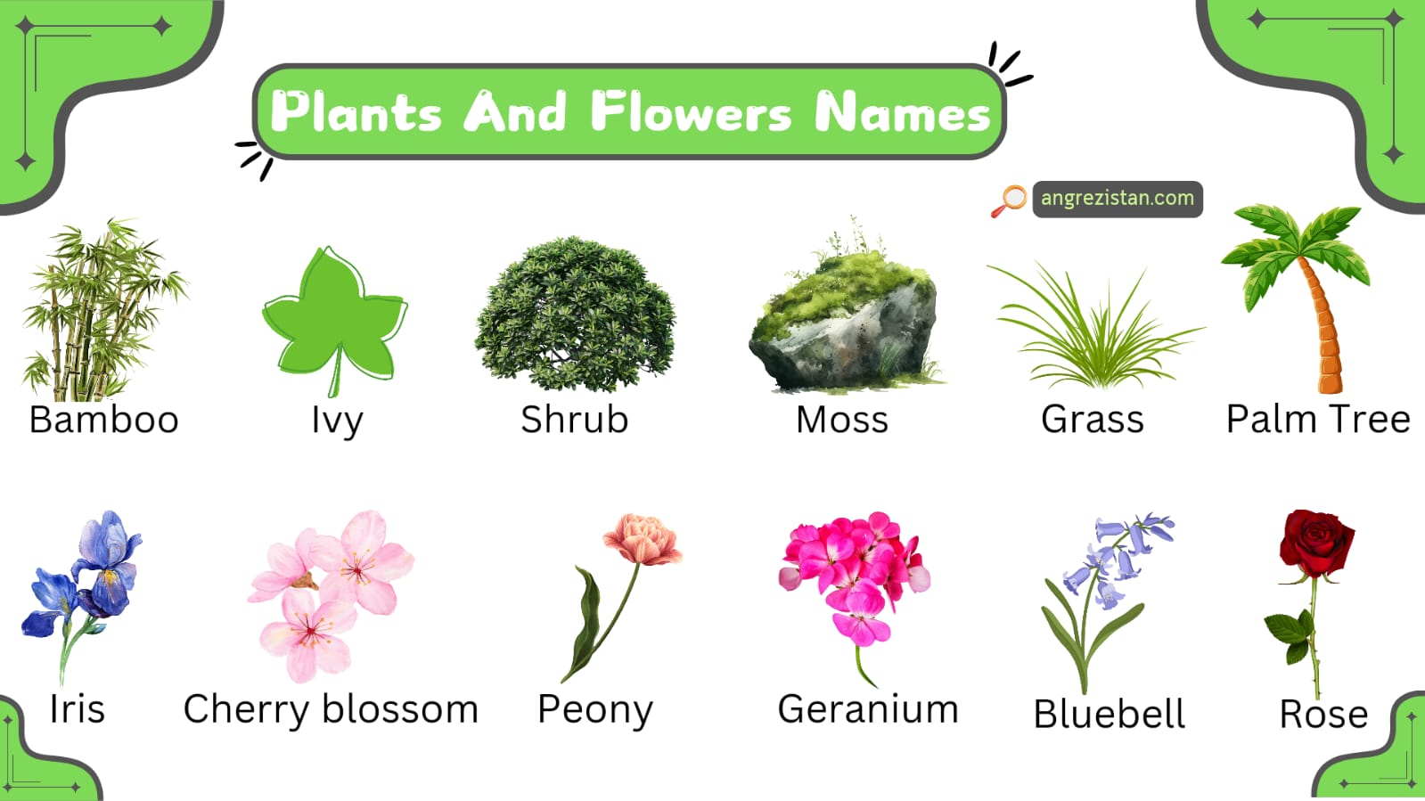 All Plants And Flowers Names In English